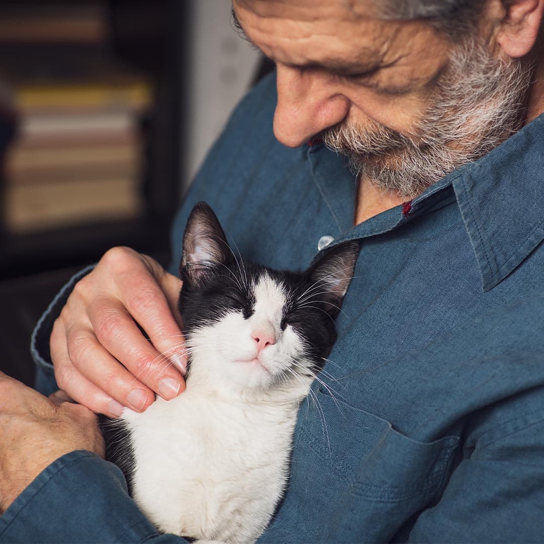 <strong>Keeping a Pet</strong>